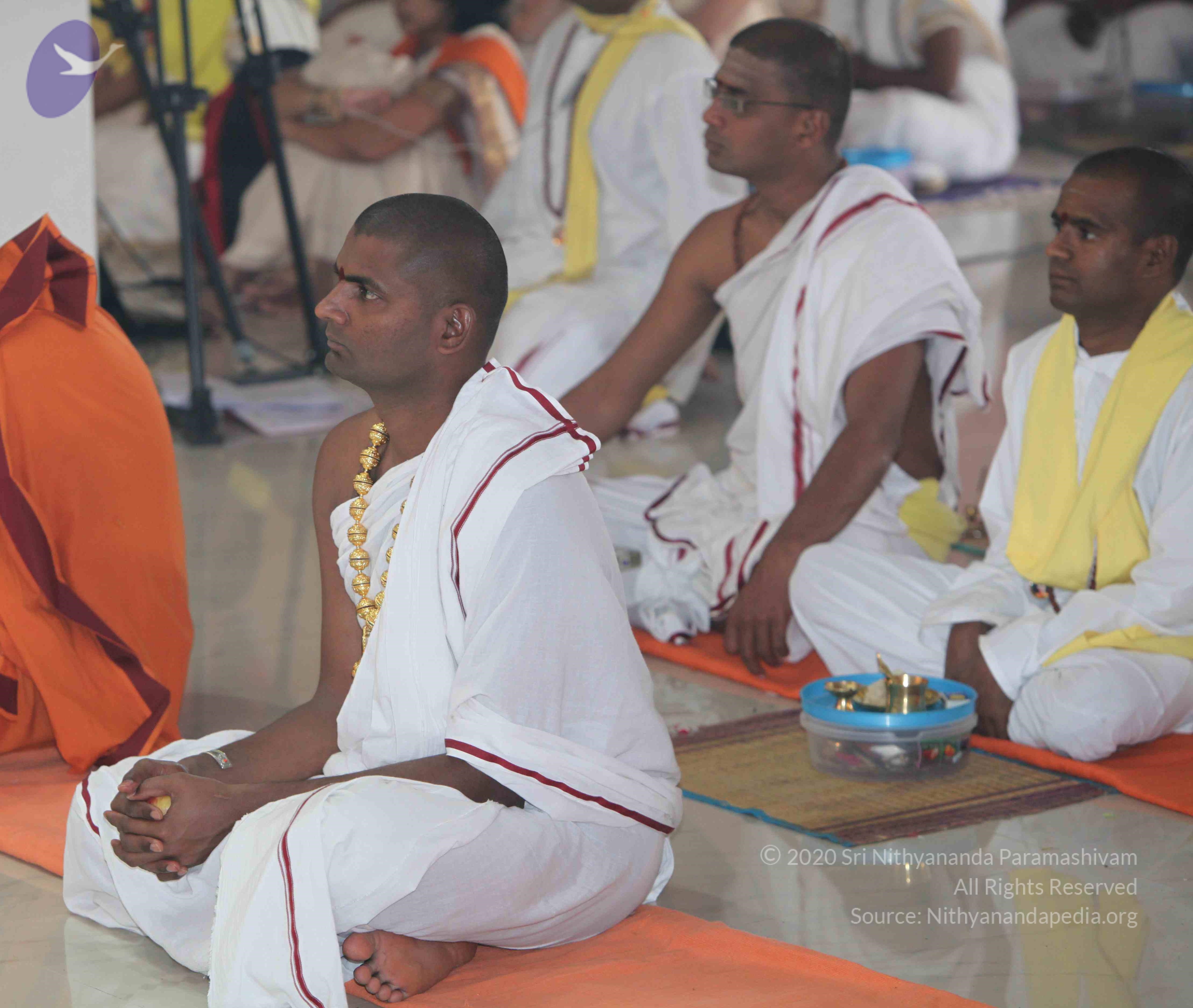 IMG_4870_CMP_WM Done